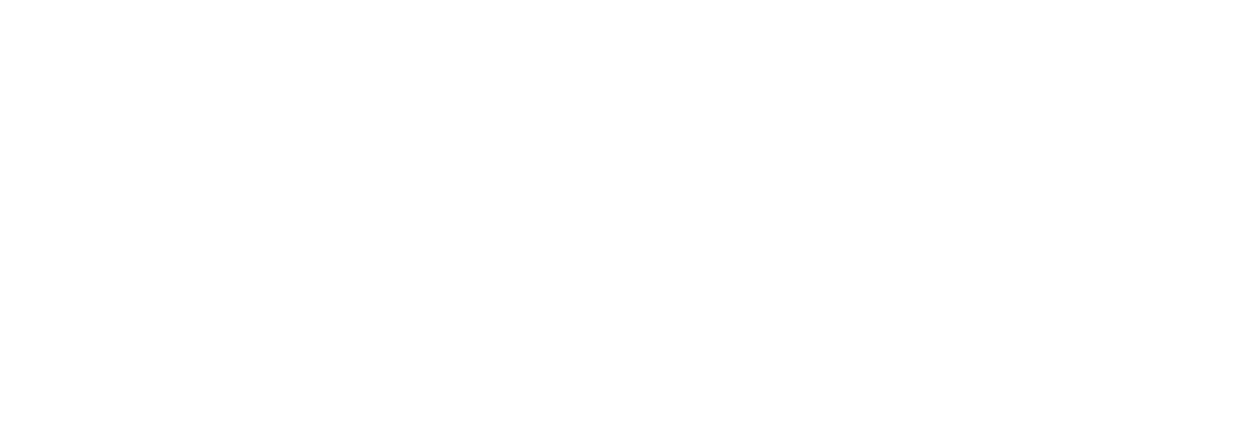 Texas Methodist Foundation logo.